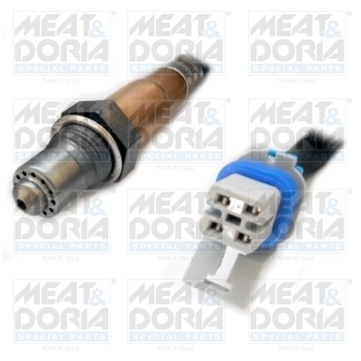 Oxygen Sensor